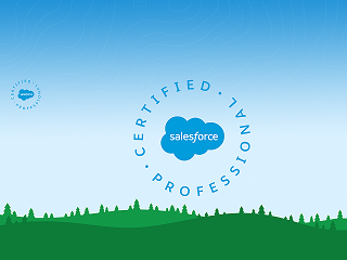 Salesforce Certified Professional